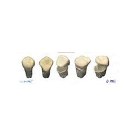 Cofres de dientes dif. Modelos (bolsa c/100 pzas.)