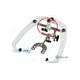 Conjunto relator nasion