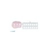 Corona prueba post 1o molar ang sup der  6