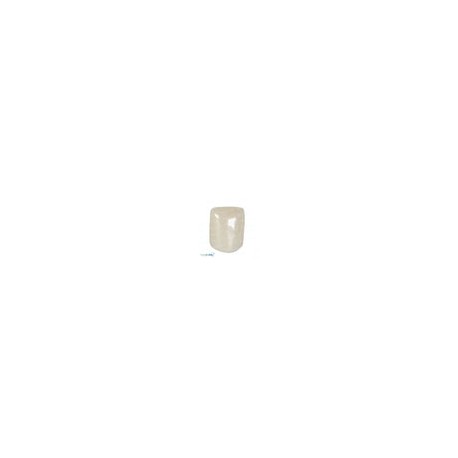 Corona zirconia nusmile incisivo