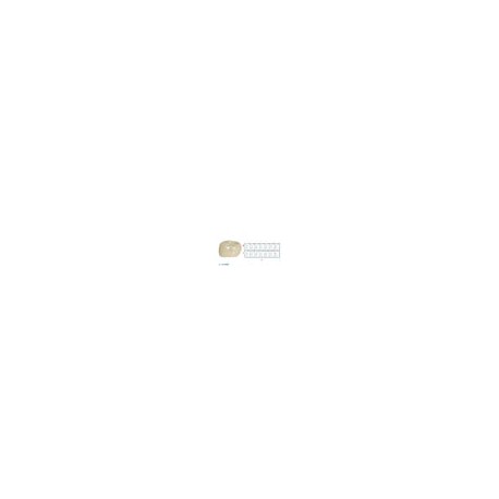 Corona zirconia nusmile posterior 1er molar y 2do molar
