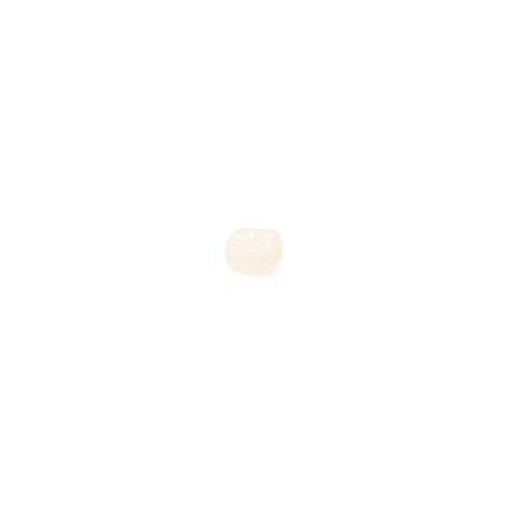 Corona zr post 1er molar angosto superior der  4