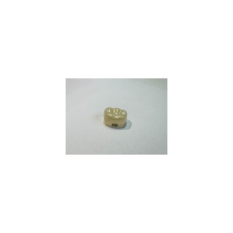 Corona zr post 2do molar inferior der  7
