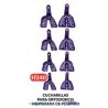 Cucharillas para ortodoncia perforada de plastico ( juego de 8 piezas.
