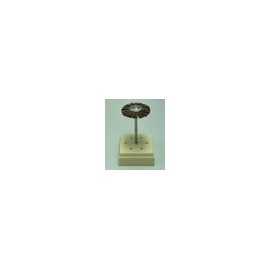 D22mm cepillos de cerdas cafes semi-rigidas de 22mm