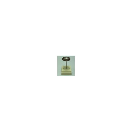 D22mm cepillos de cerdas cafes semi-rigidas de 22mm
