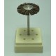 D22mm cepillos de cerdas cafes semi-rigidas de 22mm