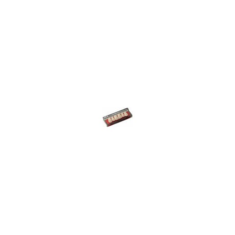 Diente new tek vita superior a1 1x6 264