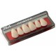 Diente new tek vita superior a1 1x6 264