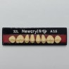 Dientes newcryl superior posterior