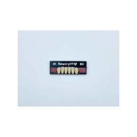 Dientes newcryl x 6 ia 2e col b3