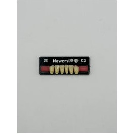 Dientes newcryl x 6 ia 2e col c2