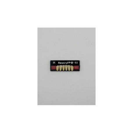 Dientes newcryl x 6 ia 2e col c2