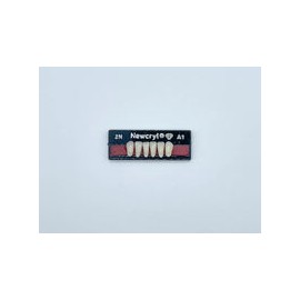 Dientes newcryl x 6 ia 2n col a1