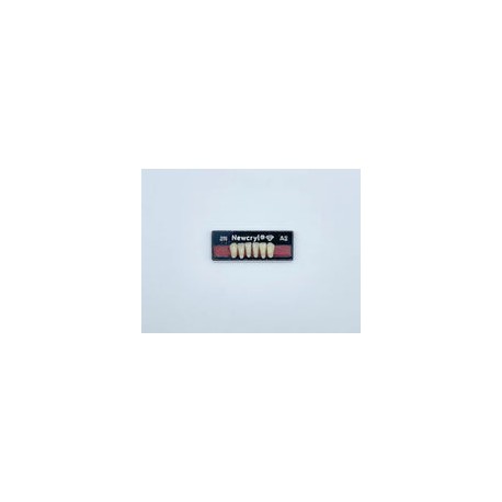 Dientes newcryl x 6 ia 2n col a2