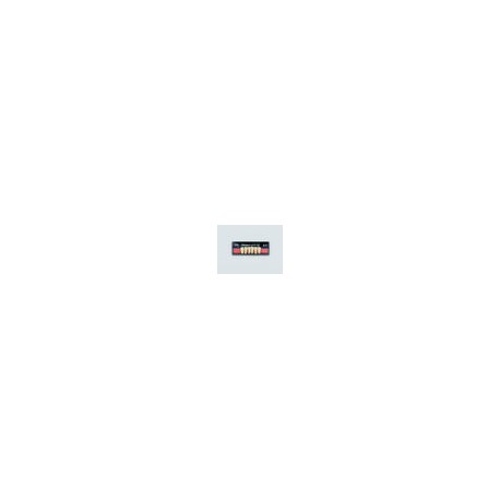 Dientes newcryl x 6 ia 2n col a3