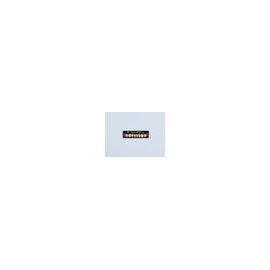 Dientes newcryl x 8 sp 32m col a2