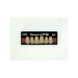 Dientes newcryl-vita x 6 sa 264 col b3