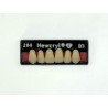 Dientes newcryl-vita x 6 sa 264 col b3