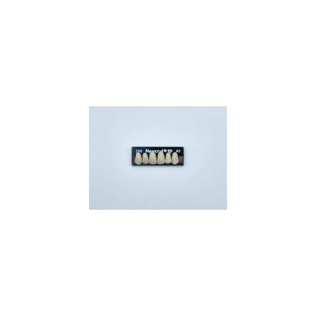 Dientes newcryl-vita x 6 sa 266 col a1