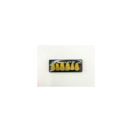 Dientes newcryl-vita x 6 sa 266 col a4