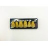 Dientes newcryl-vita x 6 sa 266 col a4