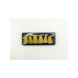 Dientes newcryl-vita x 6 sa 266 col a4