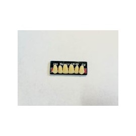 Dientes newcryl-vita x 6 sa 266 col c2