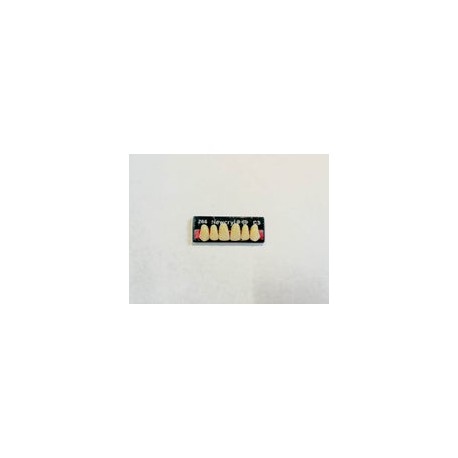 Dientes newcryl-vita x 6 sa 266 col c3
