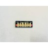 Dientes newcryl-vita x 6 sa 266 col c3