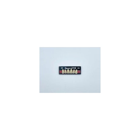 Dientes newcryl-vita x 6 sa 2n col a2