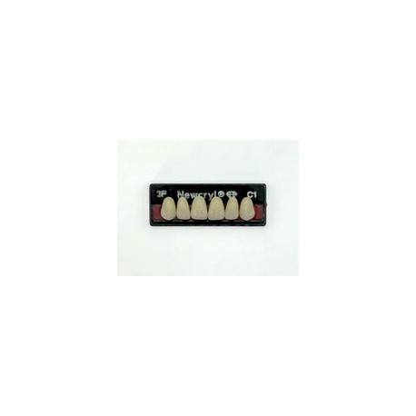 Dientes newcryl-vita x 6 sa 3p col c1