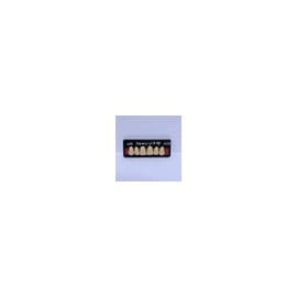 Dientes newcryl-vita x 6 sa a25 col a3.5