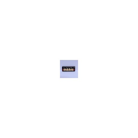 Dientes newcryl-vita x 6 sa a25 col a3.5