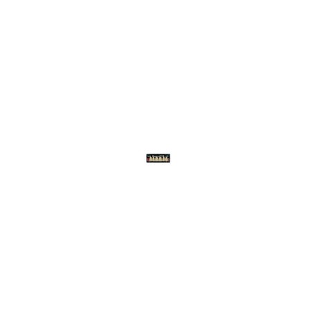 Dientes newcryl-vita x 6 sa a26 col c2