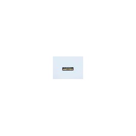 Dientes newcryl-vita x 8 ip 32l col b3