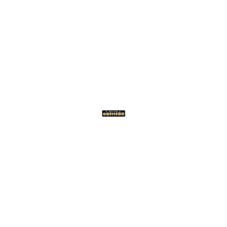 Dientes newcryl-vita x 8 ip 34l col b3