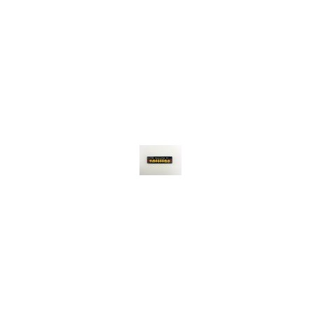 Dientes newcryl-vita x 8 sp 32l col a4