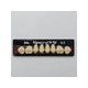 Dientes newcryl-vita x 8 sp 34l col a2