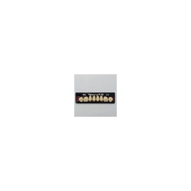 Dientes newcryl-vita x 8 sp 34l col a2