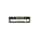 Dientes newcryl-vita x 8 sp 34l col c1