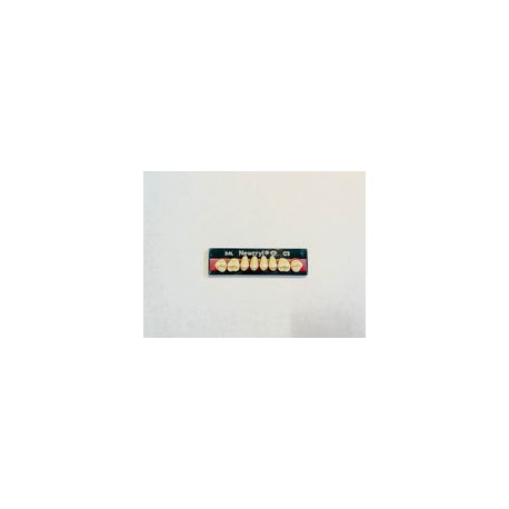 Dientes newcryl-vita x 8 sp 34l col c3