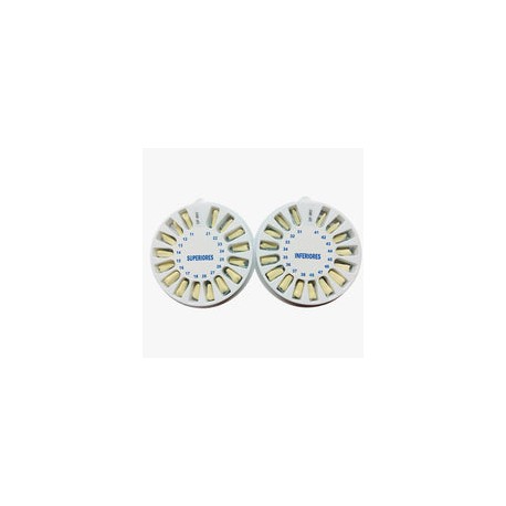 Dientes p/tip tipo columbia adulto 32 pz
