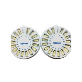 Dientes p/tip tipo nissin adulto 32 pzas
