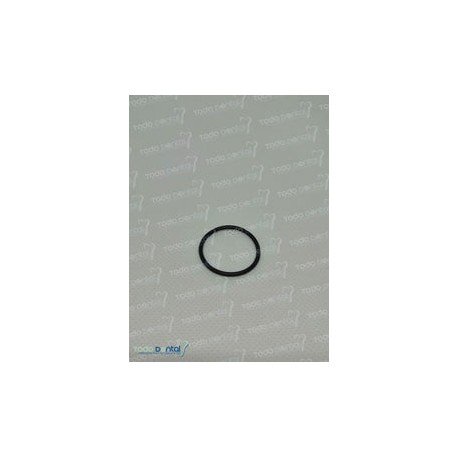 Elastico Guia Condilar Juego De 2