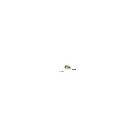 Anillo gold