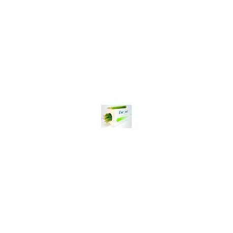 Eyector de saliva verde 100 pzas/caja (uniseal)