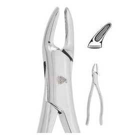 Forcep adulto 65