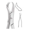 Forcep adulto 88l