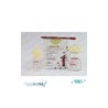 Gold label 1 luting & lining 1-1 mini, gc